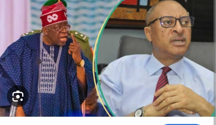 No room for shadow Govt – Court tells Utomi